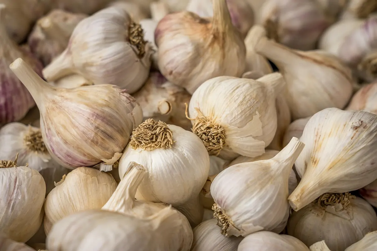 Comparing Mesa's Farmers' Markets: Which One Suits Your Shopping List?