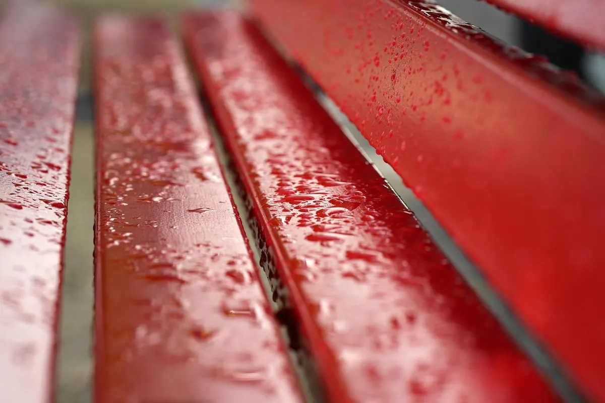 Free Rainy Day Attractions in Mesa: 12 Places to Go When It Pours